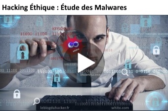 cours vidéo etude malwares
